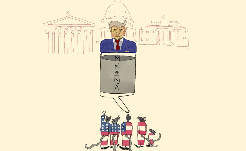 Large ilustracija trump