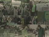 Small phd banner shaded 3