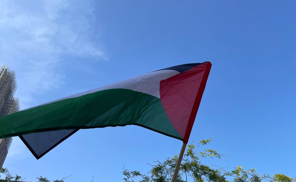 Large palestinska zastava