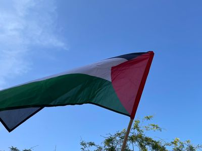 Medium palestinska zastava