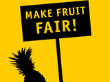 Small fairtrade make fruit fair 800