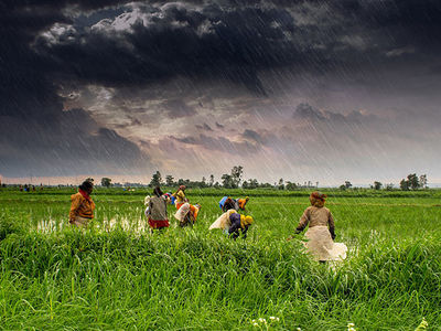 Medium  1  agriculture and rural farms of india